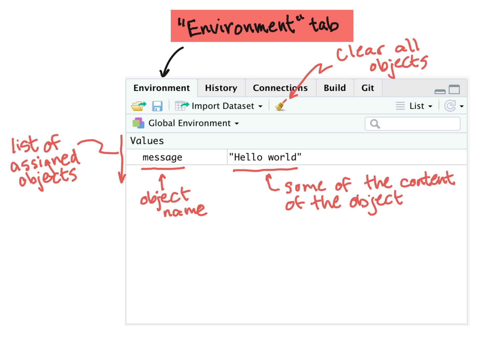 'Environment' pane in RStudio. This shows the names and first few values of all objects that have been assigned to object names in the global environment.