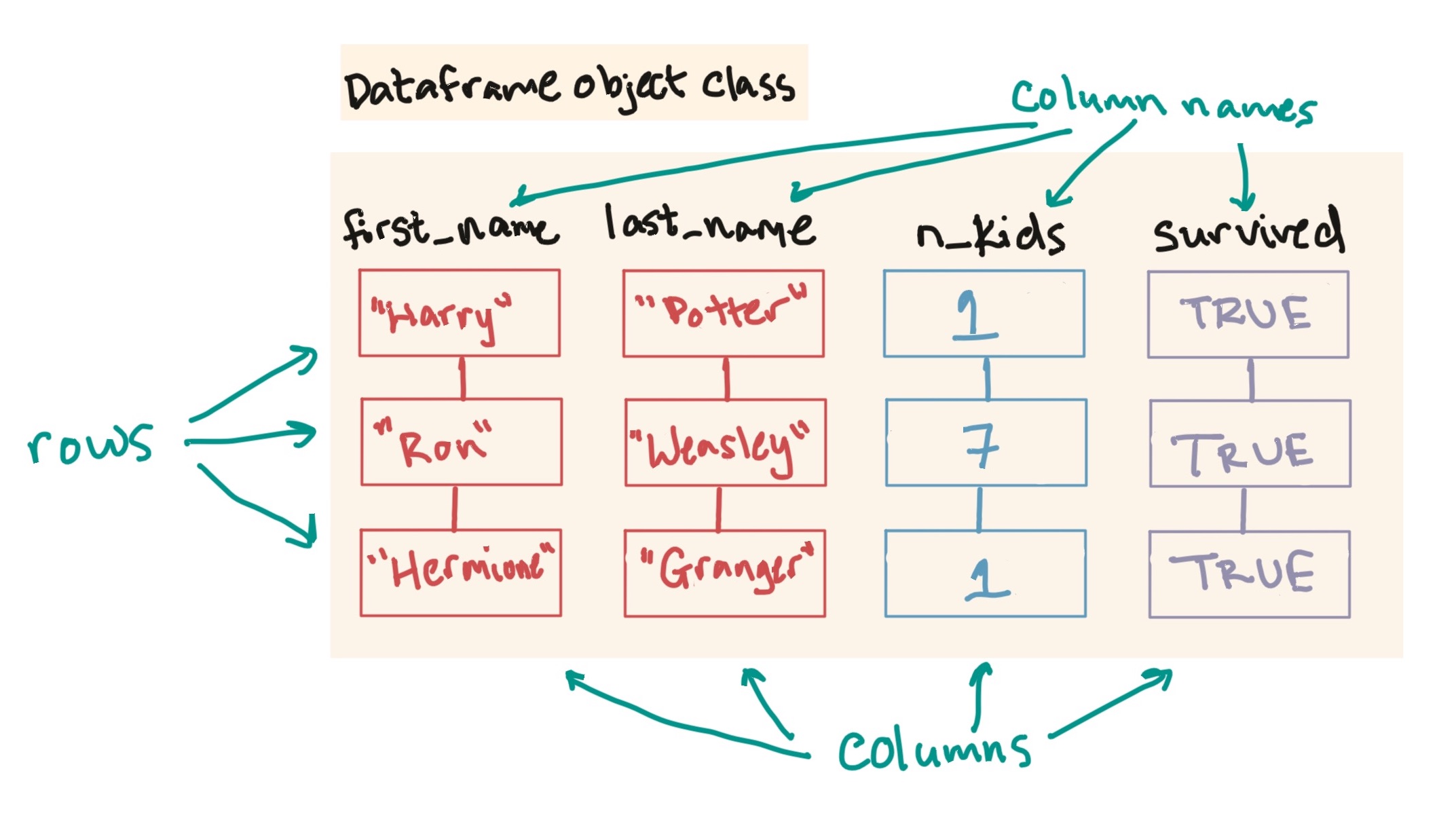 The elements of a dataframe: columns, rows, and column names.