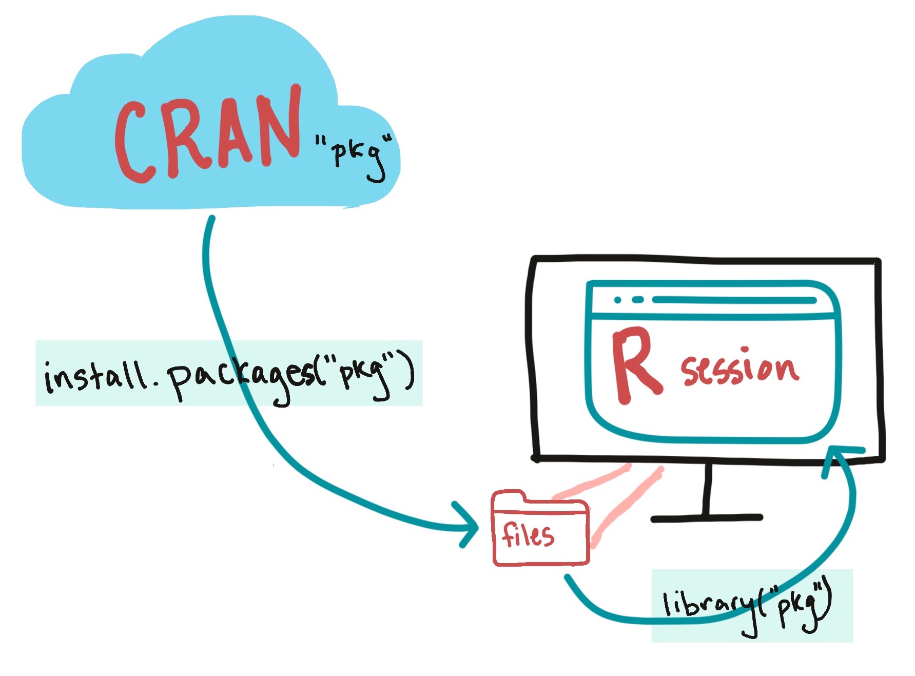 Install a package (with 'install.packages') to get it onto your computer. Load it (with 'library') to get it into your R session.