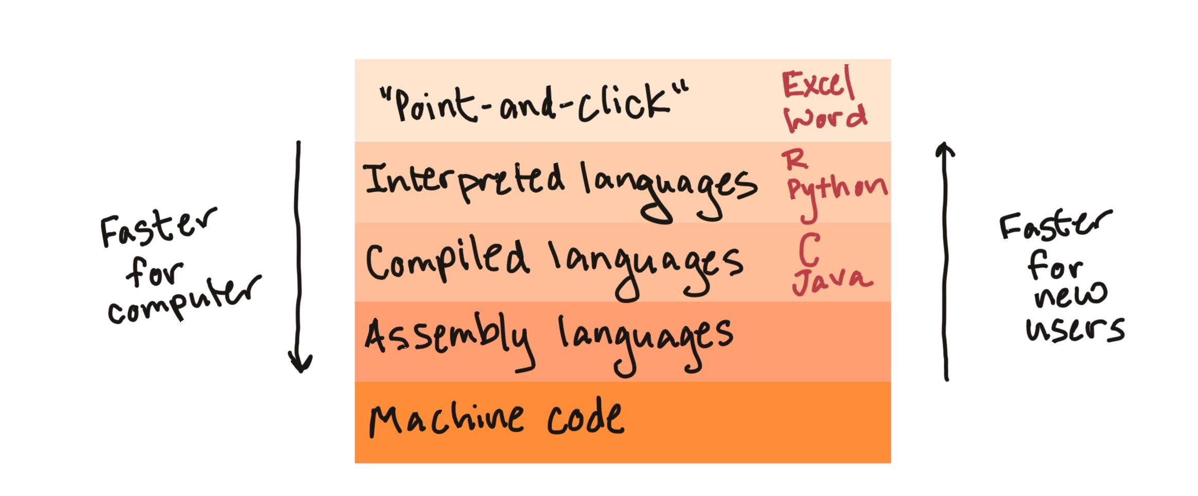 Broad types of software programs. R is an interpreted language. 'Point-and-click' programs, like Excel and Word, are often easiest for a new user to get started with, but are slower for the computer and are restricted in the functionality they offer. By contrast, compiled languages (like C and Java), assembly languages, and machine code are faster for the computer and allow you to create a wider range of things, but can take longer to code and take longer for a new user to learn to work with.