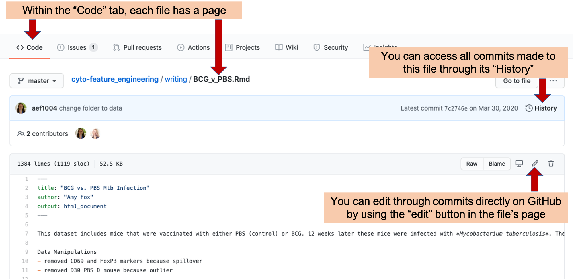 Example of a file page within a GitHub repository. Each file in a repository has its own page. On this page, you can see the history of changes made to the file by looking at 'History'. You can also make a commit an edit directly in GitHub by clicking on the 'Edit' icon.