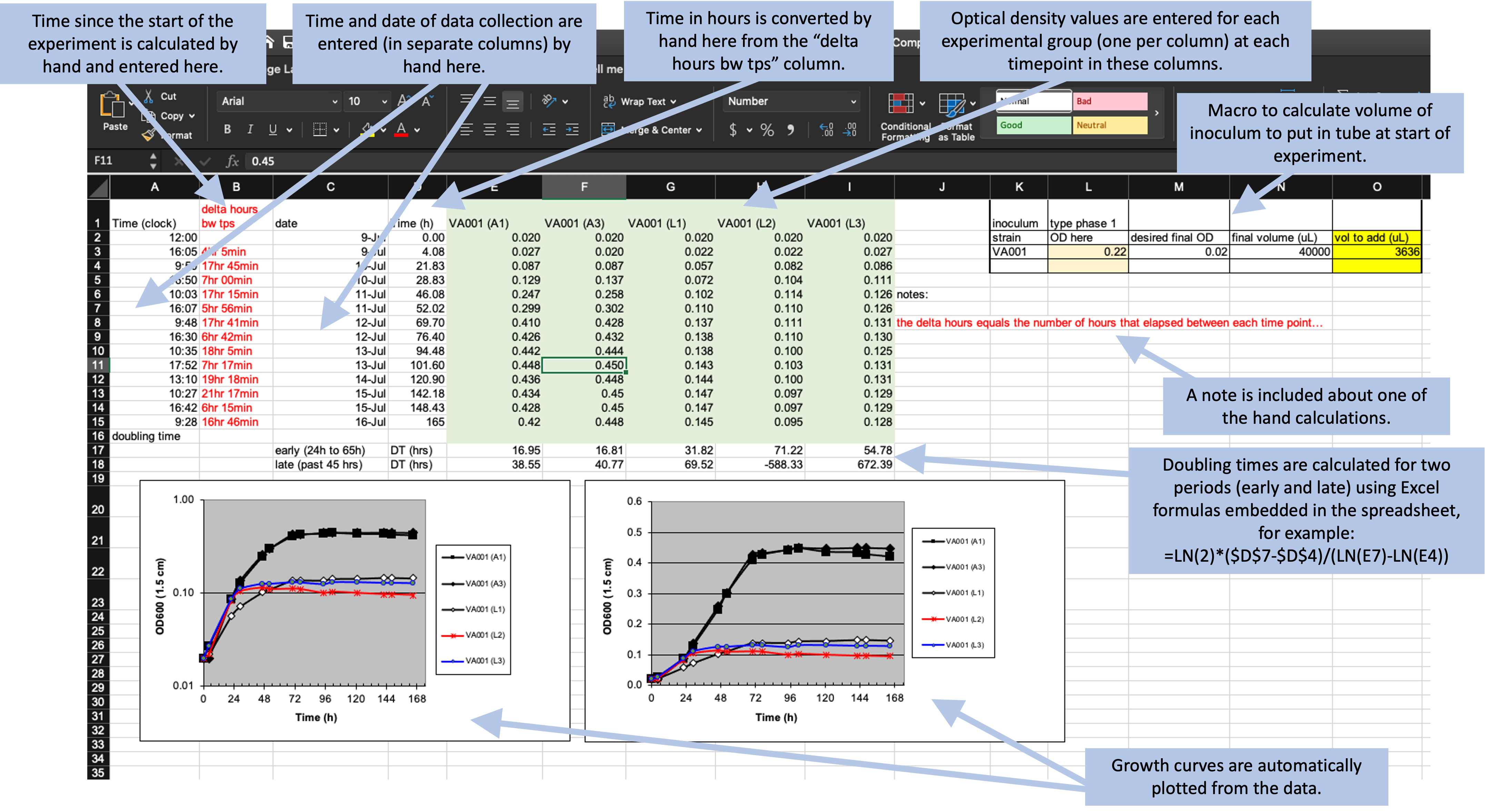 Example of an Excel spreadsheet used to record and analyze data for a laboratory experiment. Annotations highlight where data is entered by hand, where calculations are done by hand, and where embedded Excel formulas are used. The figures are created automatically using values in a specified column.