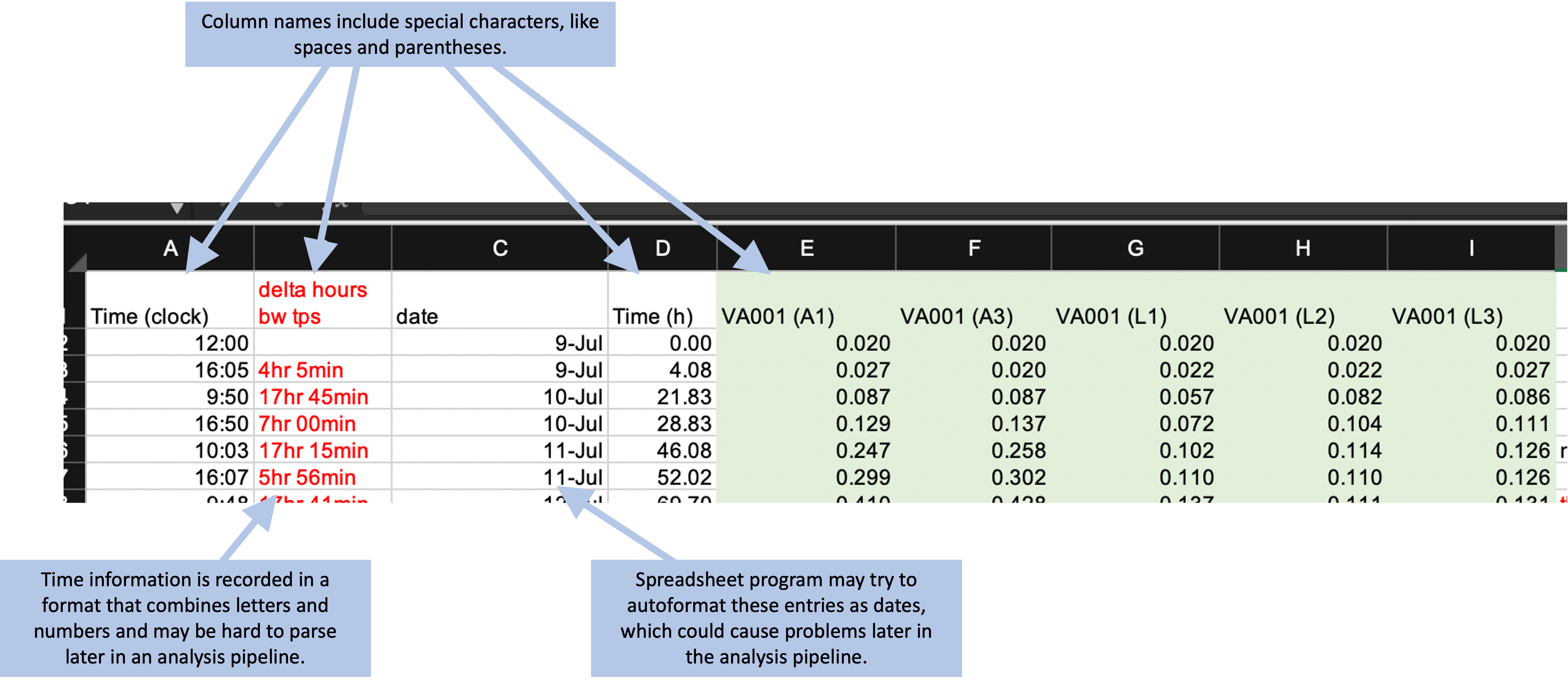 Examples of special characters and formatting in the example template that could cause problems later in a data analysis pipeline.