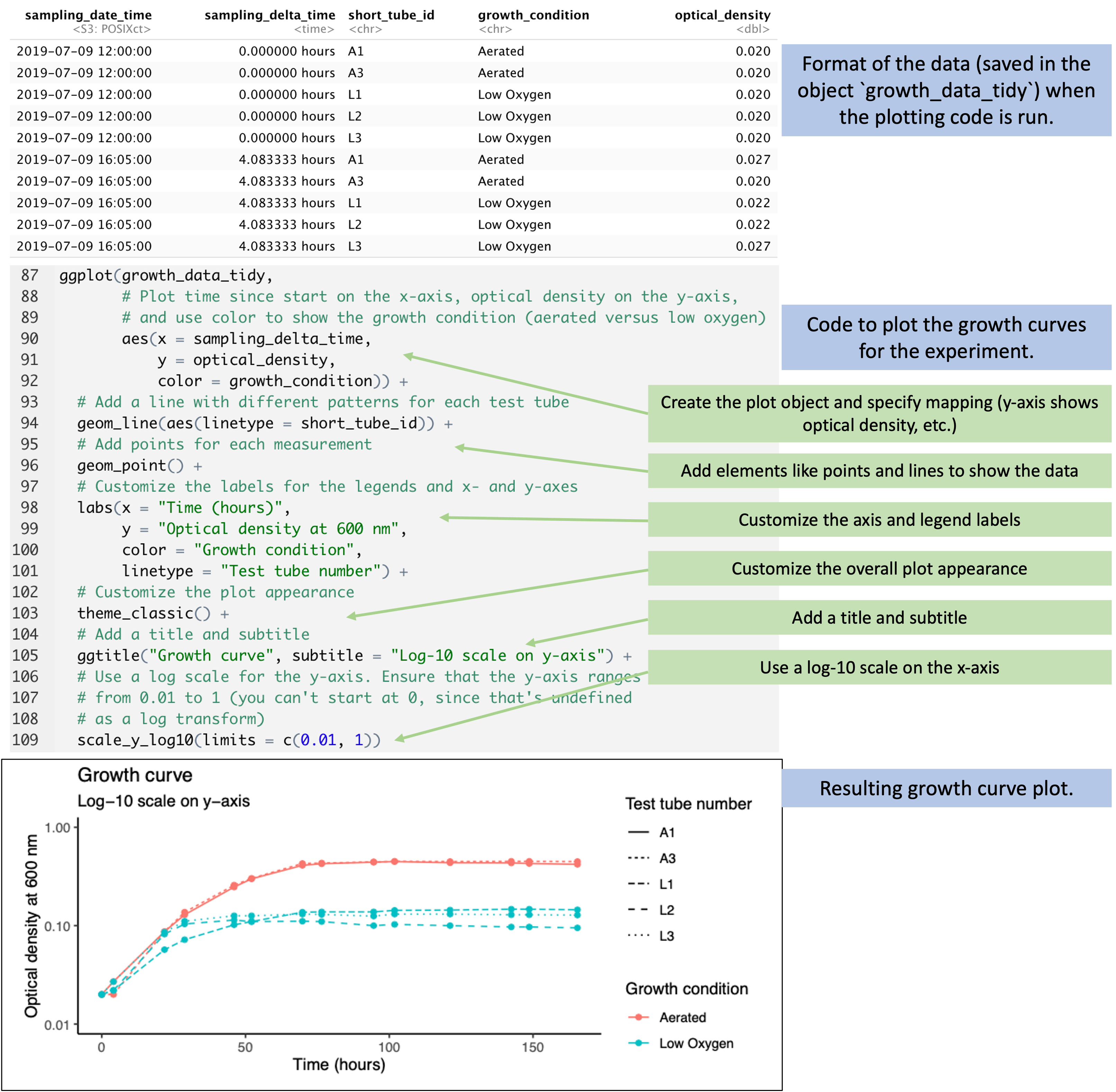 Code to plot growth curves from the data. When the plotting code is run, the data have been transformed into a 'tidy' format (top), with columns that include the time since the start of the experiment, a test tube ID, the growth condition for the test tube, and the optical density measured in that test tube. The code (middle) add layers to implement each element of the plot based on this input data. The final plot is shown at the bottom.