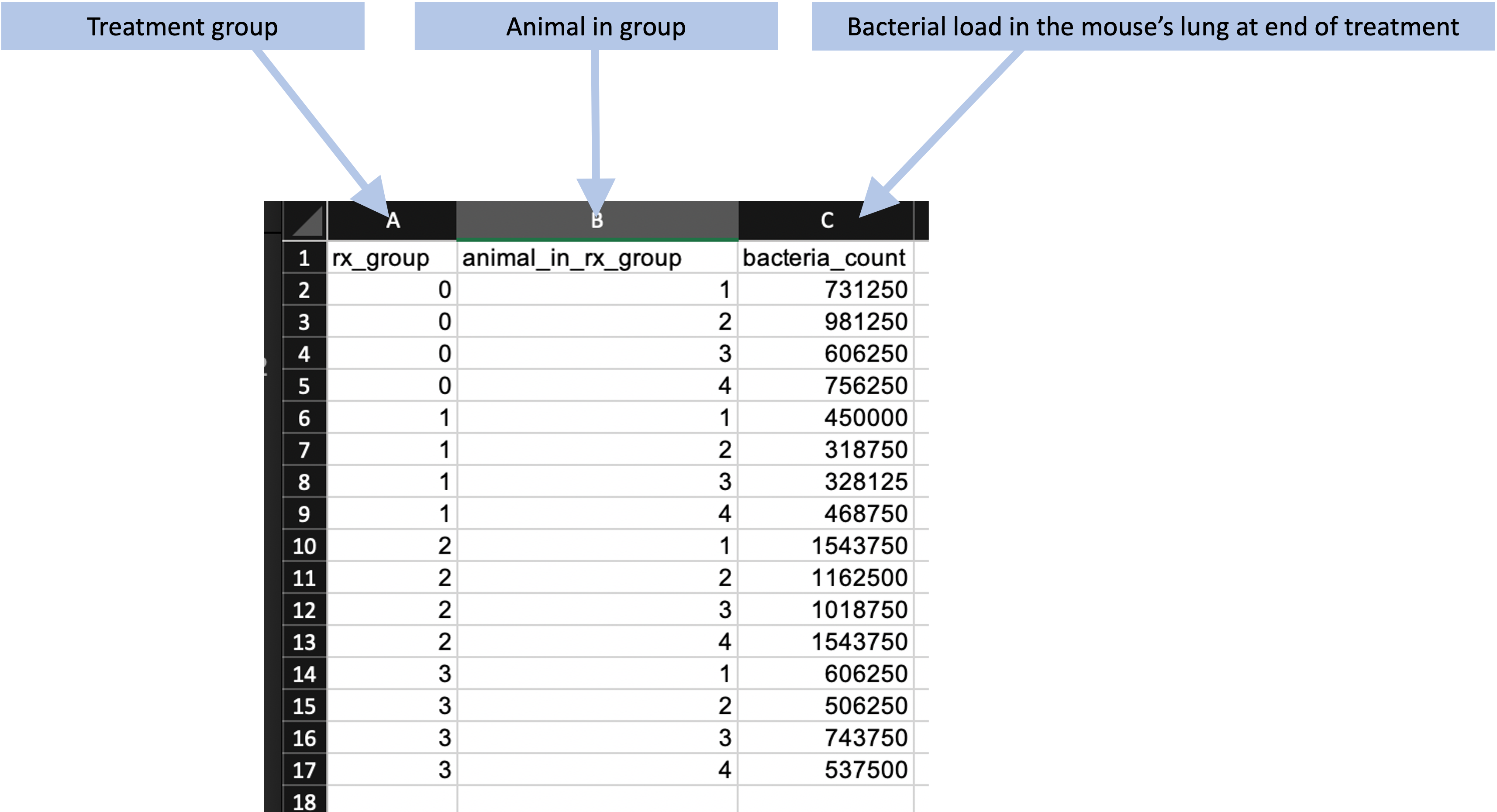 Example of recording the bacterial load in the lungs of each mouse at the end of treatment for the example set of studies.