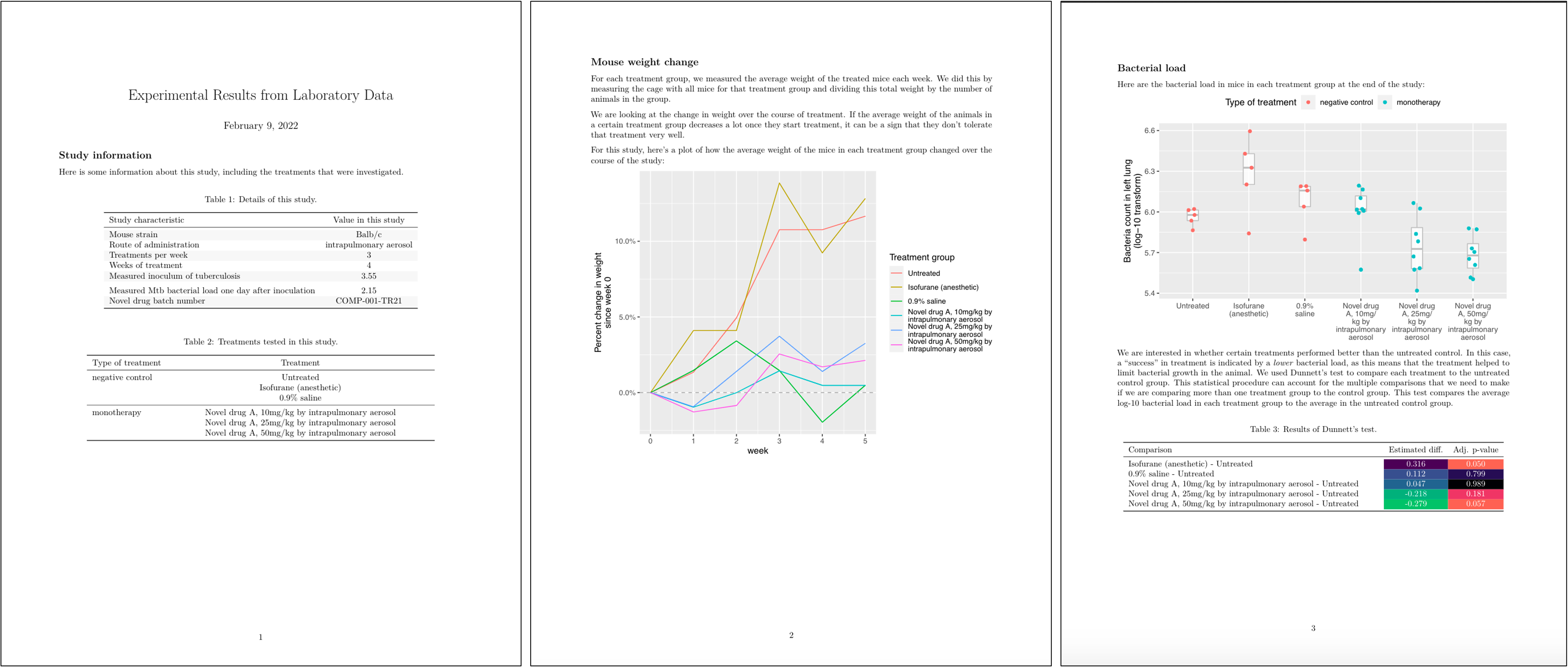 Example of the output from 'knitting' a report from the project template