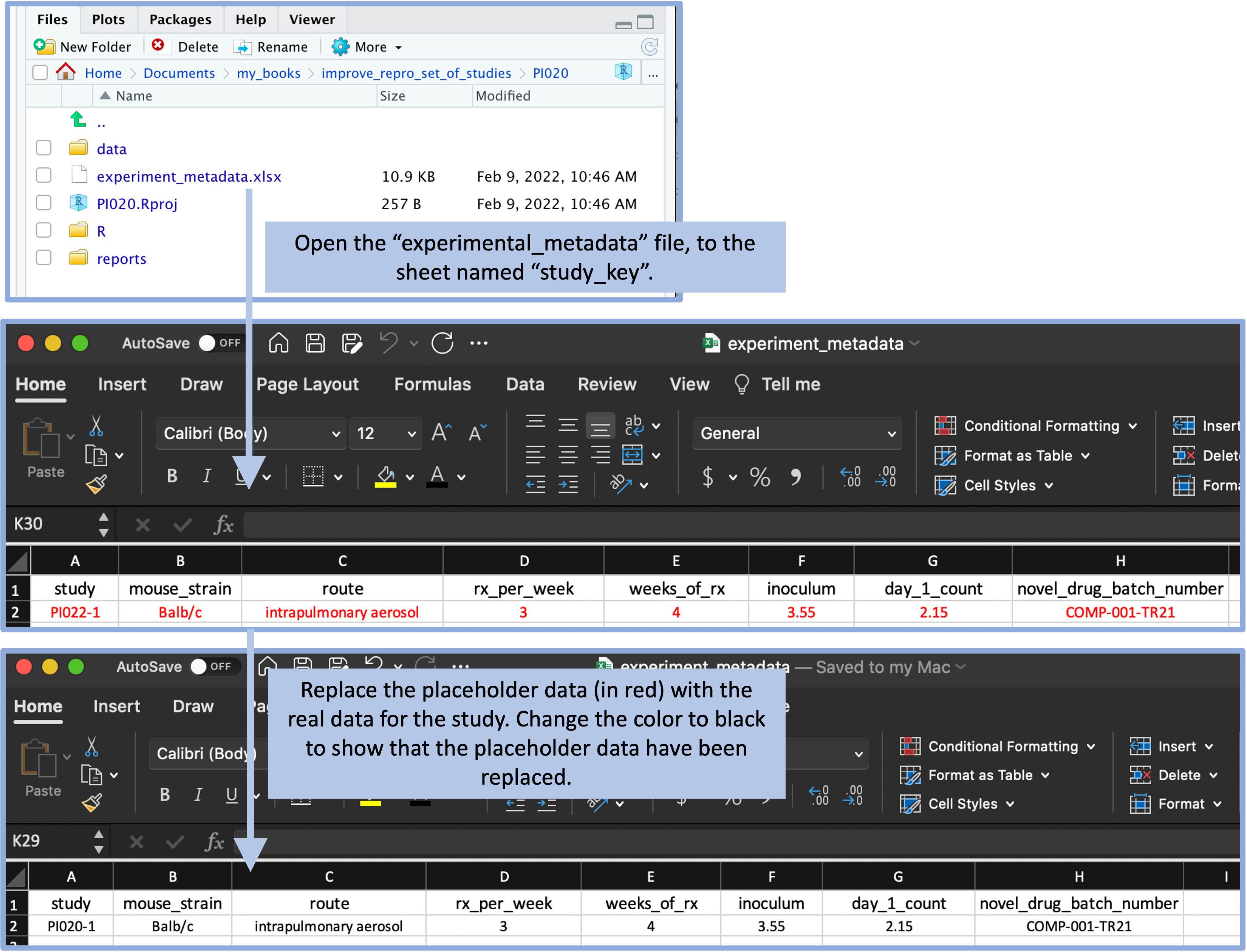 The template includes a file with experiment metadata, with a sheet for recording the overall details of the experiment. A user can open this file and replace the placeholder values (in red) with real values for the experiment. By changing the text color to black, the user can have a visual confirmation that the placeholder data have been replaced with real study data.