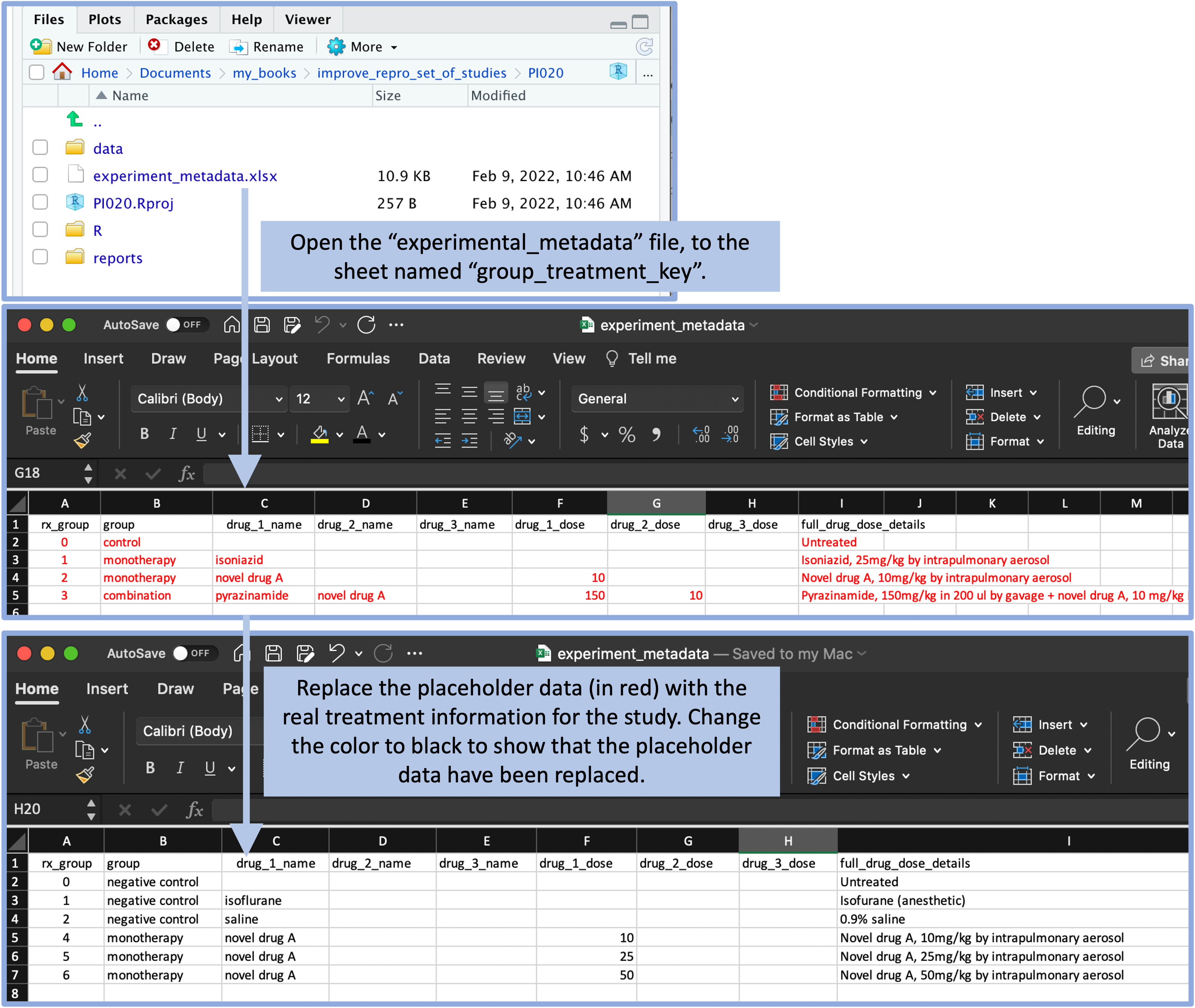 The template includes a file with experiment metadata, with a sheet for recording the details of each treatment. A user can open this file and replace the placeholder values (in red) with real values for the treatments in the experiment. By changing the text color to black, the user can have a visual confirmation that the placeholder data have been replaced with real study data.