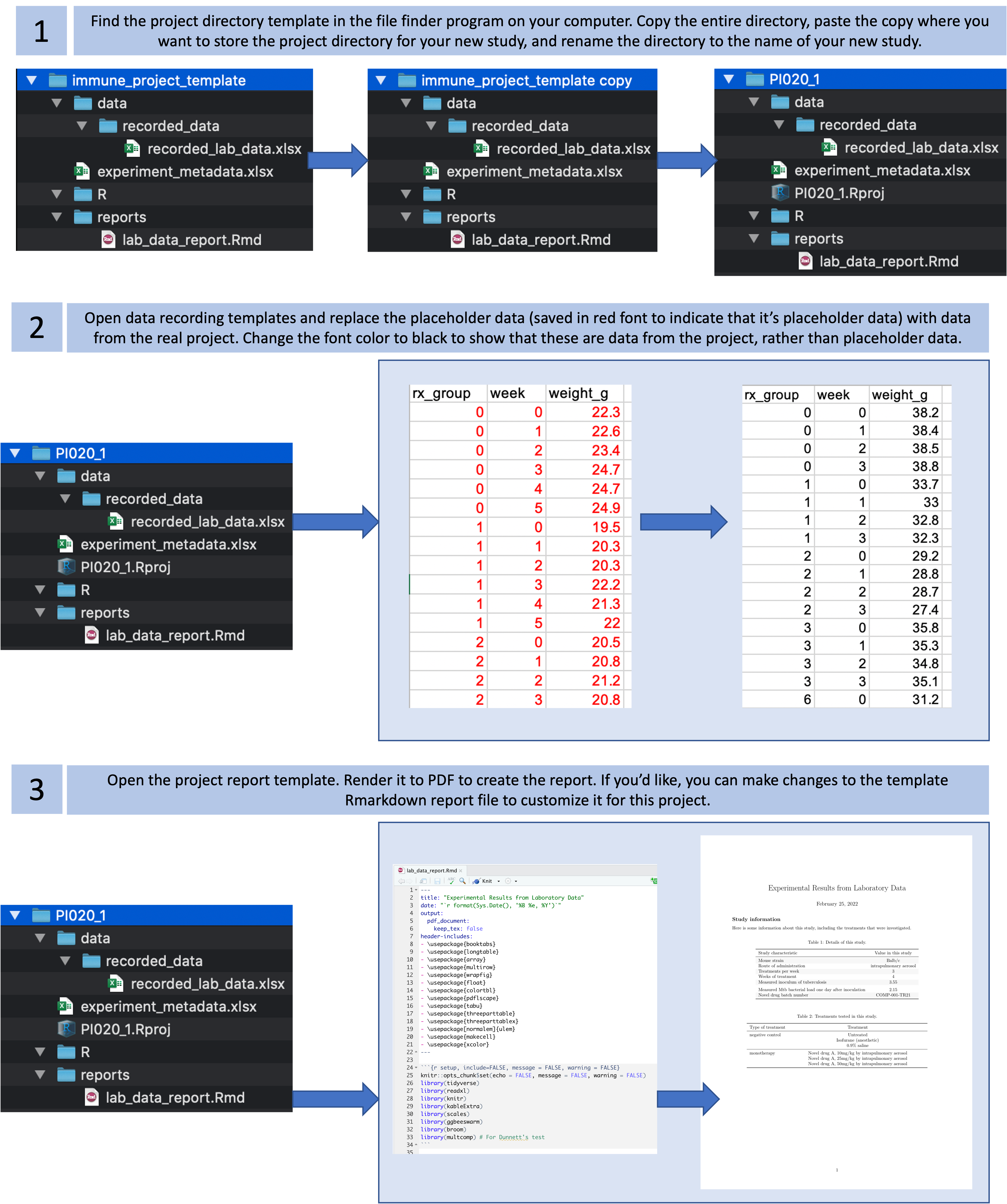 Steps in using a basic project directory template that you have created for a type of study or experiment.