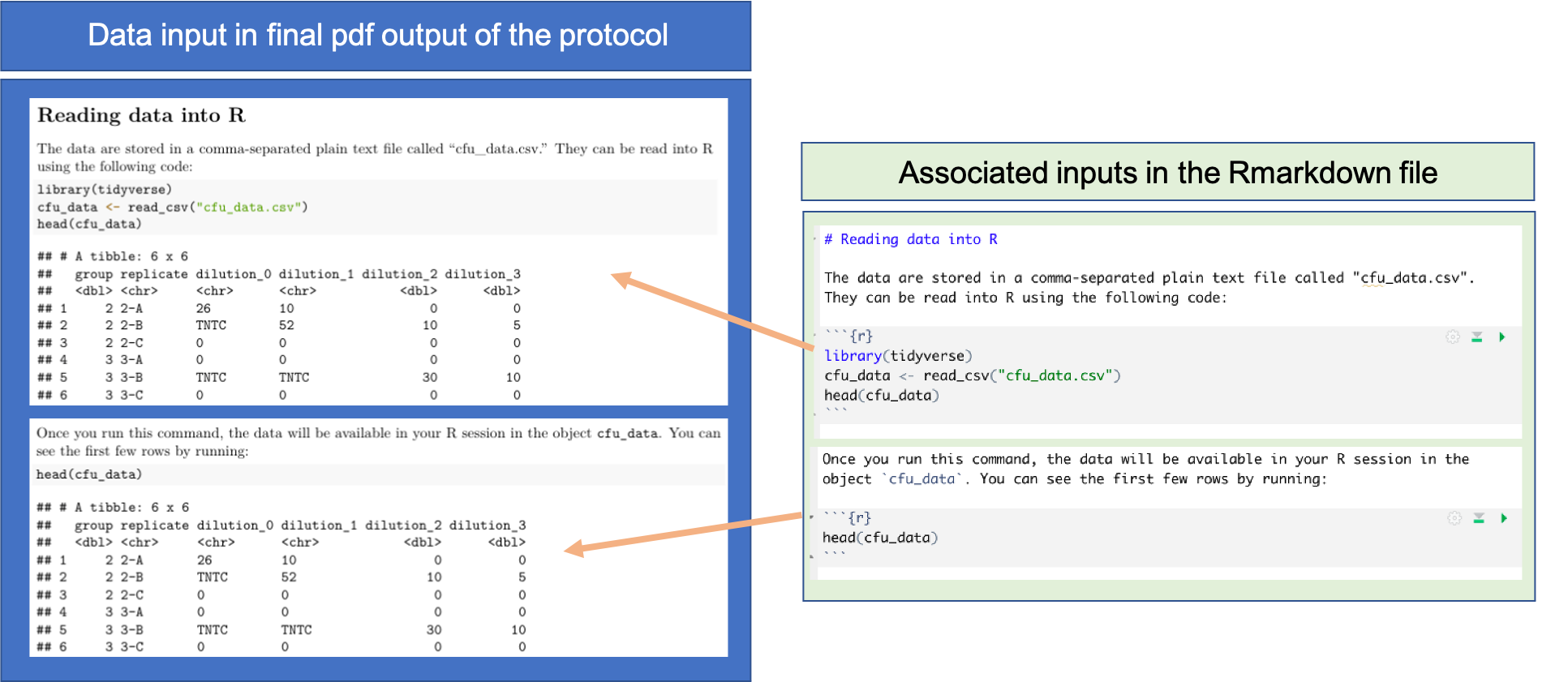 Providing details on input data in the pre-processing protocol. Once you have an example data file for the type of data that will be input for the protocol, you can add a section that provides the code to read the data into R. You can also add code that will show the first few rows of the example dataset, as well as a description of the data. This figure shows examples of how these elements can be added to an RMarkdown file for a pre-processing protocol, and the associated elements in the final pdf of the protocol, using the example protocol for this module.