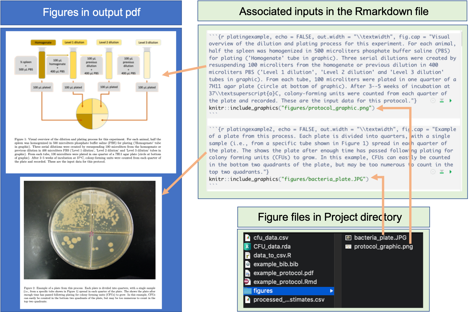 Example of including figures from image files in an RMarkdown data pre-processing protocol.