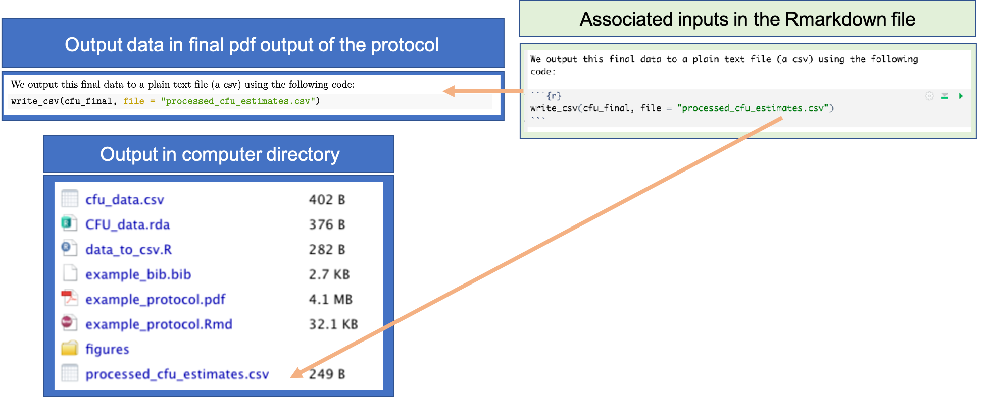 Example of using code in pre-processing protocol to output the final, pre-processed data that will be used in further analysis for the research project. This example comes from the example protocol for this module, showing both the executable code included in the RMarkdown file for the protocol (right) and how this code is included in the final pdf of the protocol. Outputting the pre-processed data into a plain text file as the last step of the protocol helps ensure computational reproducibility for this step of working with experimental data.