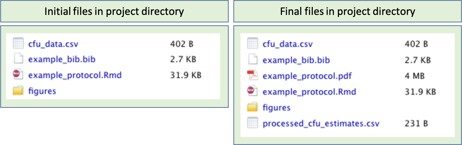 Example of files in the project directory for a data pre-processing protocol. On the left are the files initially included in the project directory for the example protocol for this module. These include a file with the input data (cfu\_data.csv), a BibTeX file with bibliographical information for references (example\_bib.bib), the RMarkdown file for the protocol (example\_protocol.Rmd), and a subdirectory with figures to include in the protocol (figures). On the right is shown the directory after the code in the protocol RMarkdown document is run, which creates an output pdf with the protocol (example\_protocol.pdf) as well as the output data (processed\_cfu\_estimates.csv).