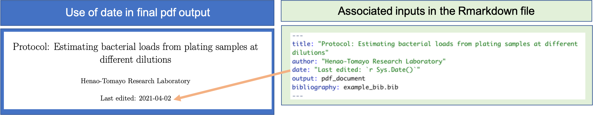 Example of using more advanced RMarkdown functionality within a data pre-processing protocol. In this example, R code is incorporated into the YAML of the document to include the date that the document was last rendered, marking this on the pdf output as the *Last edited* date of the protocol.