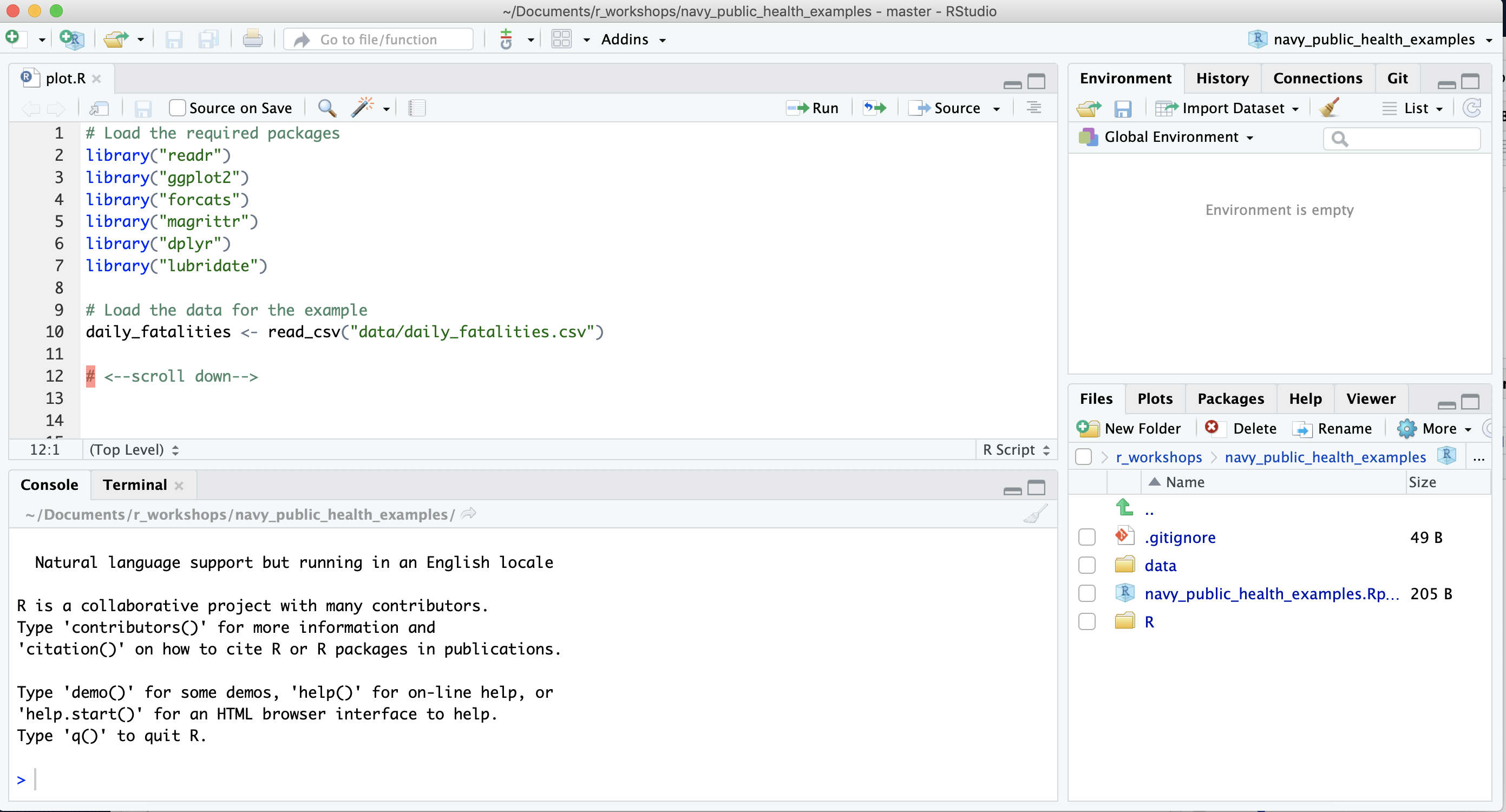 What the example R Project for this booklet should look like once you've downloaded and opened it, as well as opened the 'plot.R' file in the project's 'R' subdirectory.